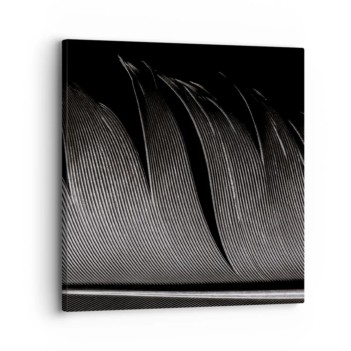 Obraz na płótnie - Pióro – cudowna konstrukcja - 30x30 cm