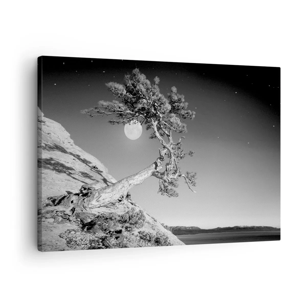 Obraz na płótnie - Czarno-białe drzewo na klifie z księżycem w tle - 70x50cm - Zwycięska wojowniczka - Nowoczesna dekoracja ścienna do salonu i sypialni ARTTOR