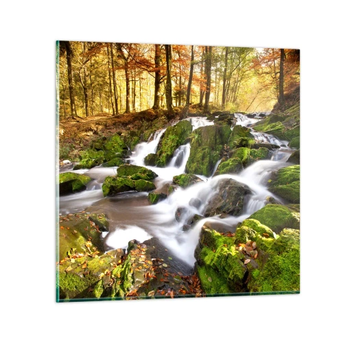 Obraz na szkle - Bystro przez jesienny las - 70x70 cm