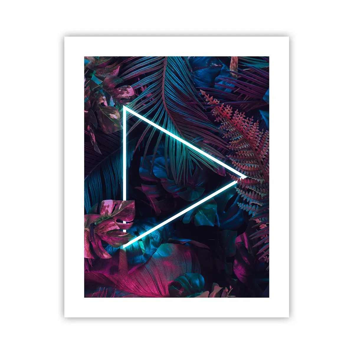 Plakat - Ogród w stylu disco - 40x50 cm