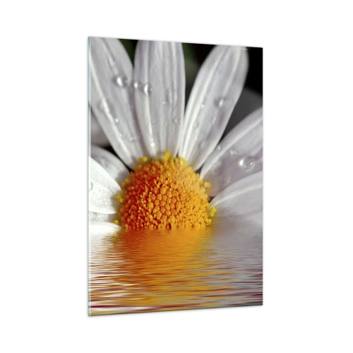Obraz na szkle - Stokrotka z kroplami wody odbijająca się w wodzie - 50x70cm - Wschodzące słońce margaretki - Nowoczesna dekoracja ścienna do salonu, kuchni i sypialni ARTTOR