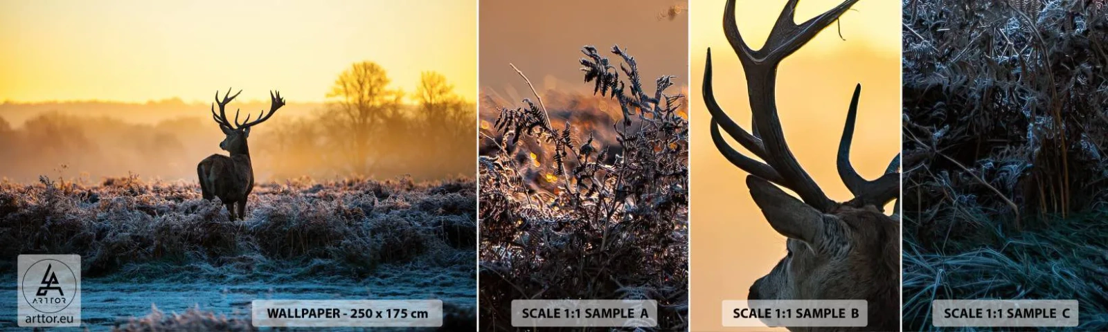 Fototapeta Próbka Standard Eco - Koronowany na swoich włościach - Krajobraz, Zwierzęta, Jeleń - 100x30 cm