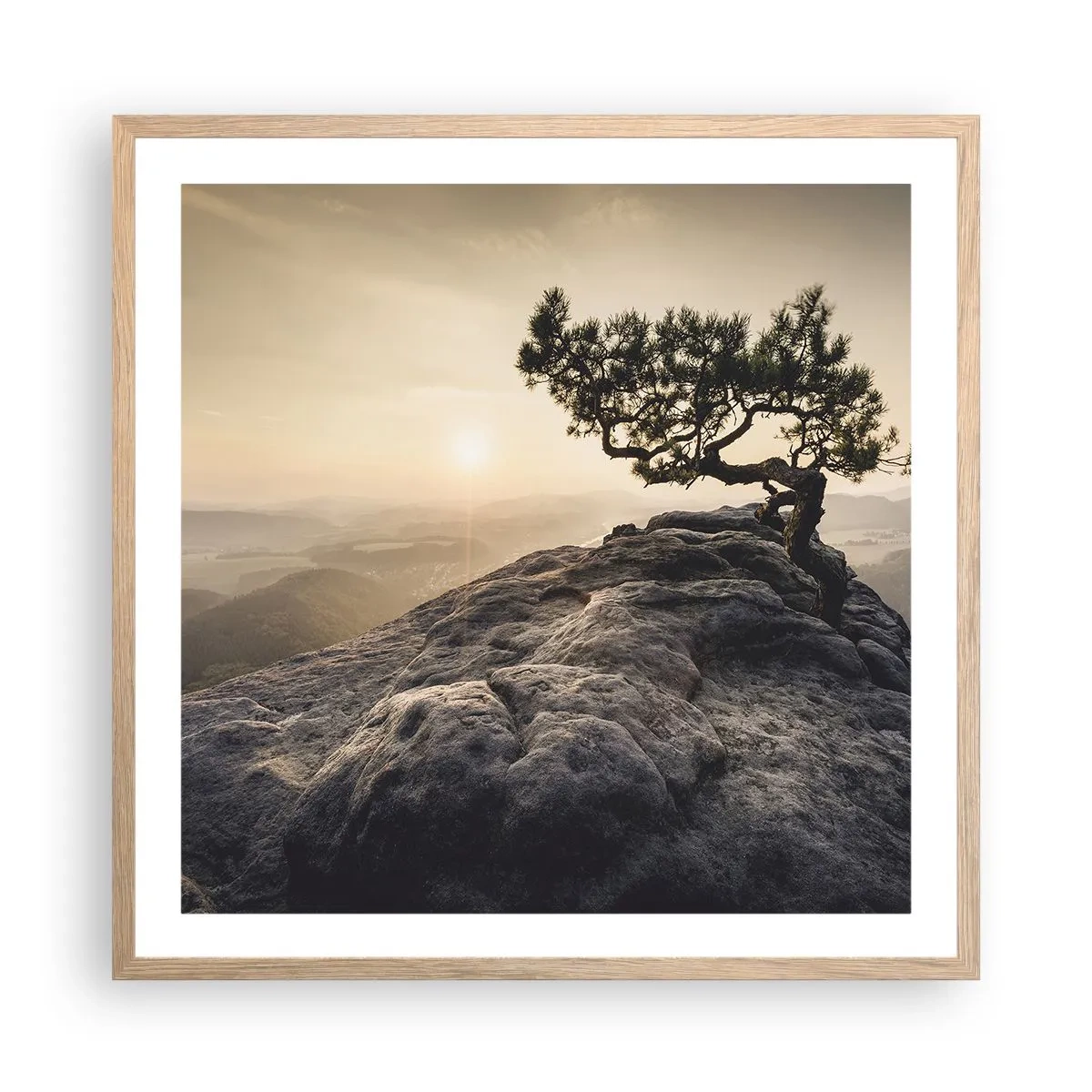 Plakat w ramie jasny dąb - Życie zawsze zwycięża - 60x60 cm