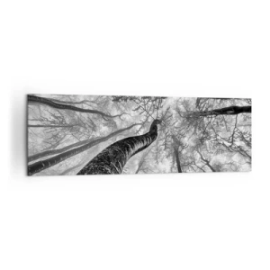 Obraz na płótnie - Perspektywa drzew w lesie widzianych od dołu w odcieniach szarości - 160x50cm - Wyścig do światła - Nowoczesna dekoracja ścienna do salonu i sypialni ARTTOR