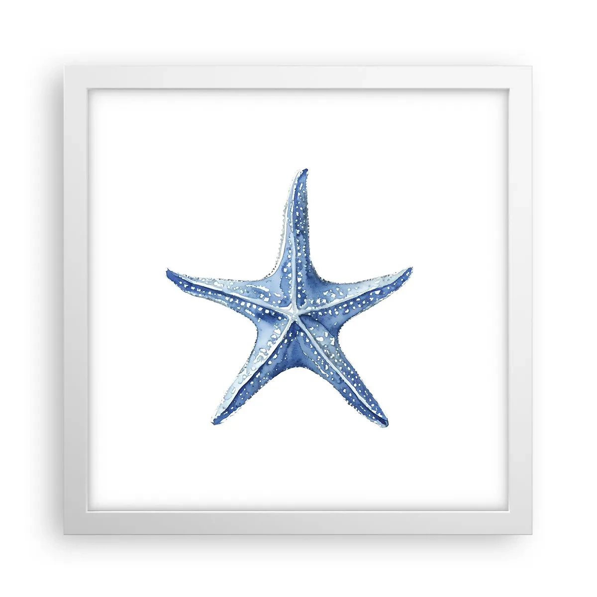 Plakat w białej ramie - Gwiazda morza - 30x30 cm
