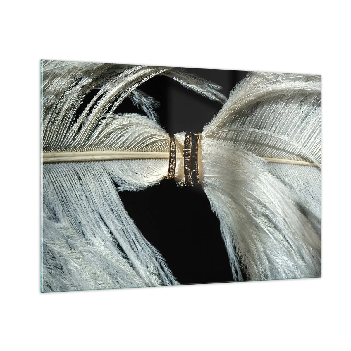 Obraz na szkle - Zbliżenie obrączek na białych piórach na czarnym tle - 100x70cm - ...i nie opuszczę Cię… - Nowoczesna dekoracja ścienna do salonu, kuchni i sypialni ARTTOR