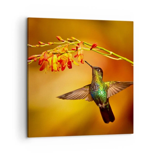 Obraz na płótnie - Posłaniec światła wg Majów - 50x50 cm