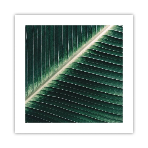 Plakat - Rytm natury - 40x40 cm