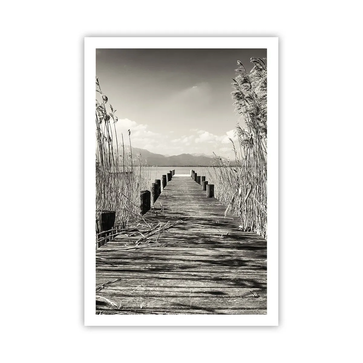 Plakat - W zaciszu traw - 61x91 cm