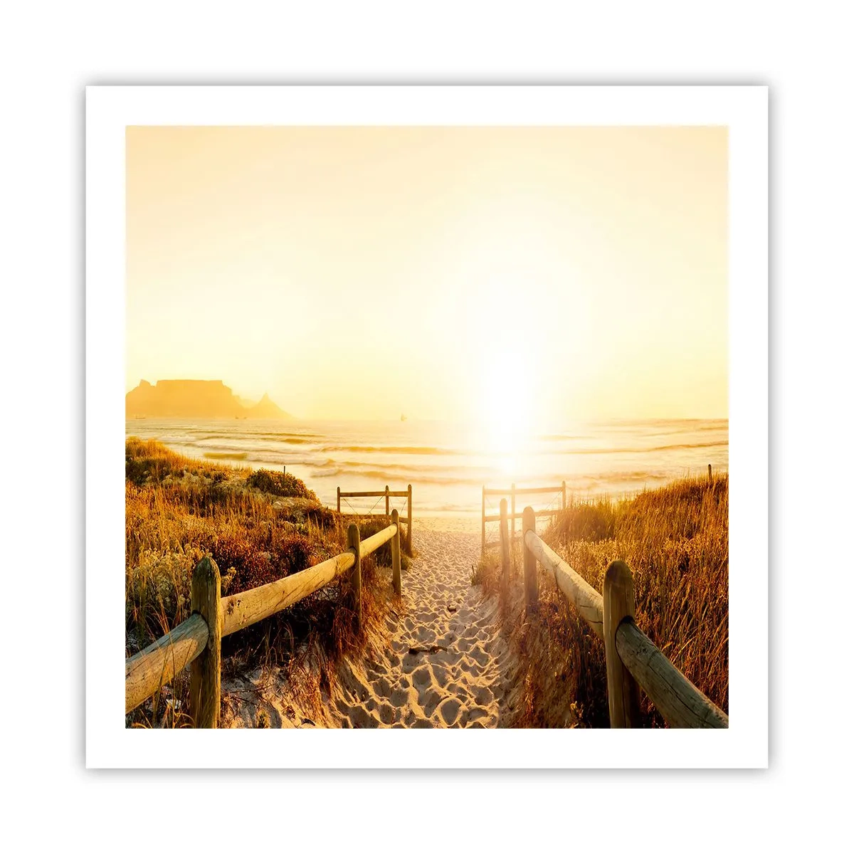 Plakat - Przez wydmę, w stronę słońca - 60x60 cm