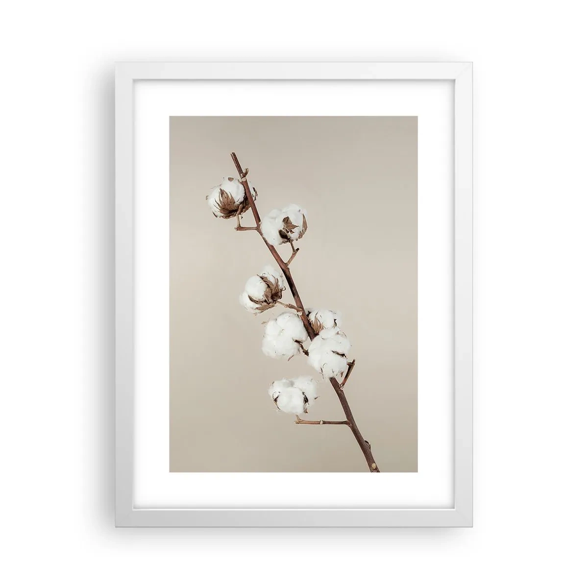 Plakat w białej ramie - U źródła miękkości - 30x40 cm