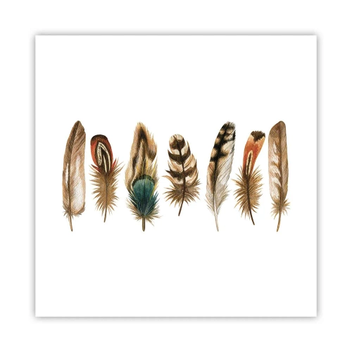 Plakat - Pierzasta wariacja - 40x40 cm
