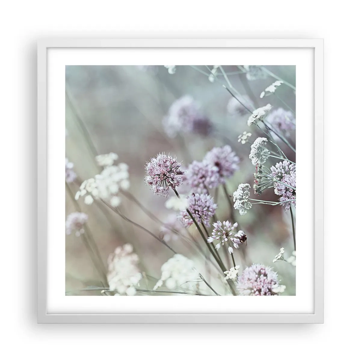Plakat w białej ramie - Słodkie filigrany ziół - 50x50 cm