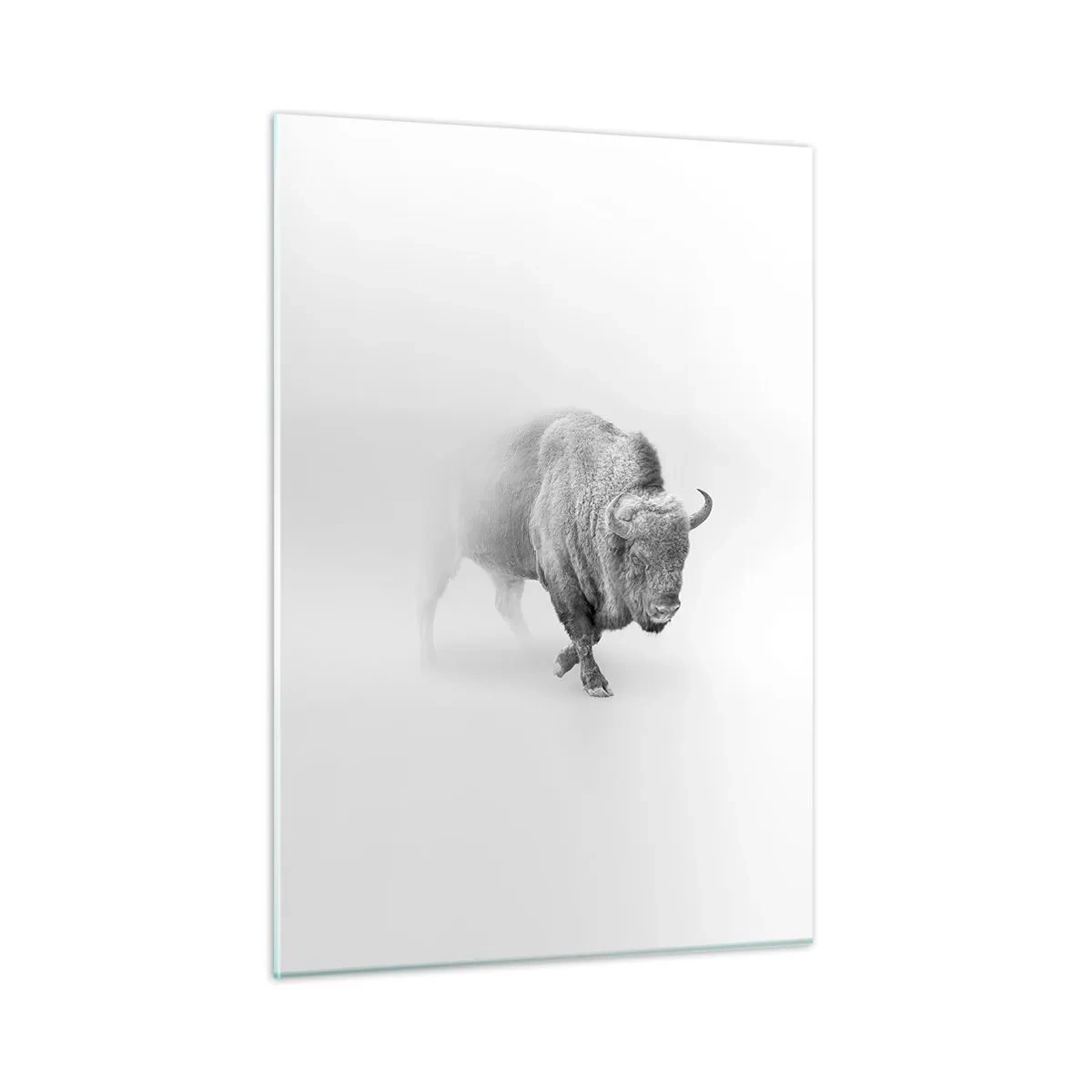Obraz na szkle - Czarno-biała ilustracja majestatycznego bizona - 50x70cm - Król prerii - Nowoczesna dekoracja ścienna do salonu, kuchni i sypialni ARTTOR