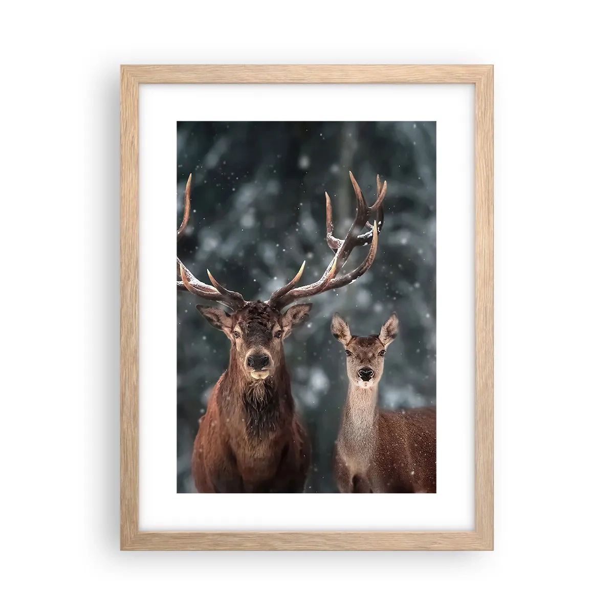 Plakat w ramie jasny dąb - Pan lasu z małżonką - 30x40 cm