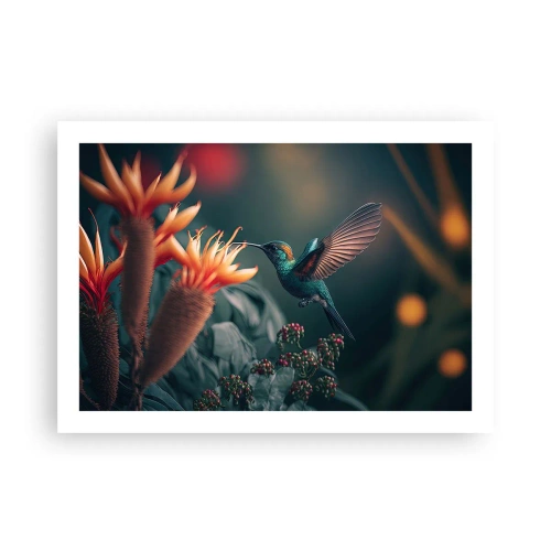 Plakat - naprawdę barwne życie - 70x50 cm