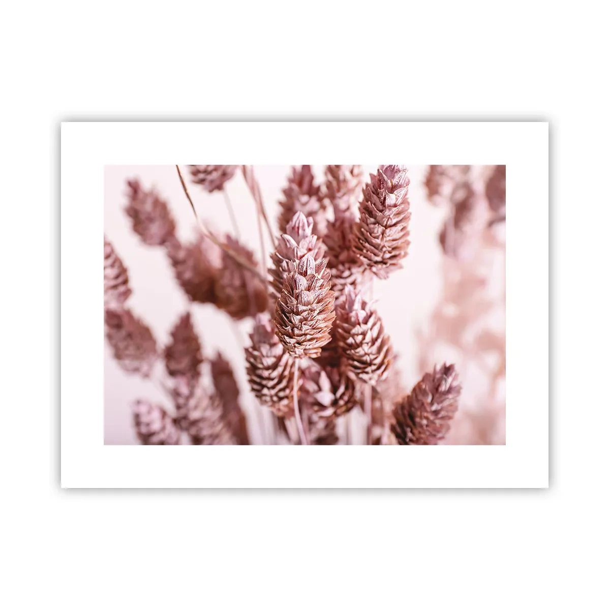 Plakat - Z pozoru niepozorne - 40x30 cm