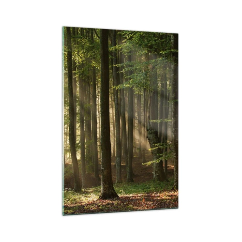 Obraz na szkle - Promienie słońca przenikające przez drzewa w lesie - 70x100cm - Rozpromieniony w wiosenny poranek - Nowoczesna dekoracja ścienna do salonu i sypialni ARTTOR