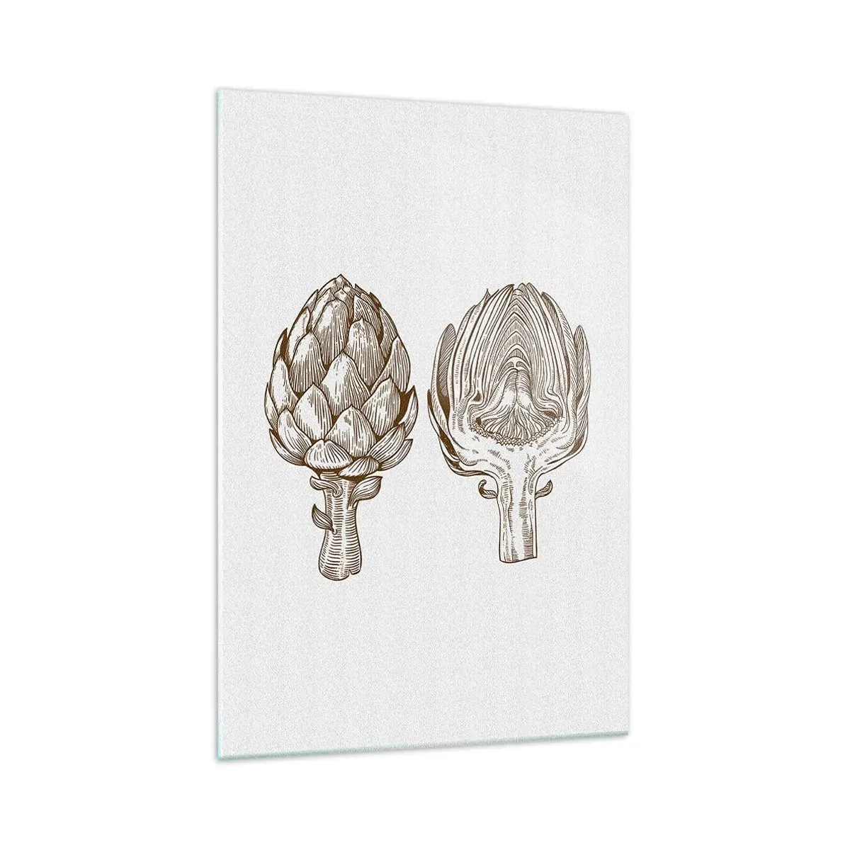 Obraz na szkle - Rysunek artystyczny karczocha w stylu vintage - 70x100cm - Lekcja anatomii - Nowoczesna dekoracja ścienna do salonu i sypialni ARTTOR