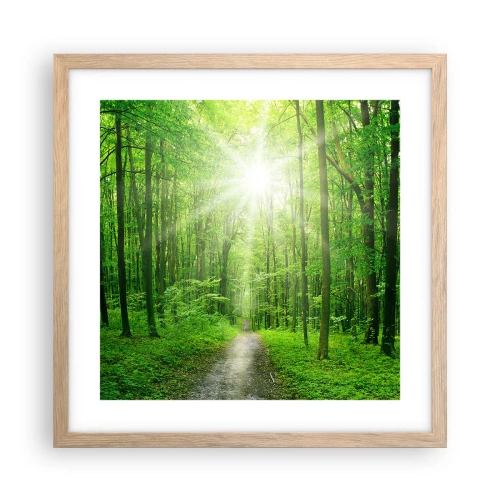 Plakat w ramie jasny dąb - Zielona katedra - 40x40 cm