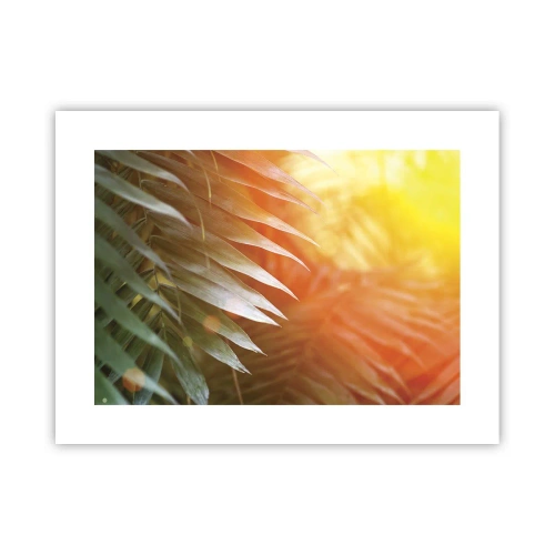 Plakat - Poranek w dżungli - 40x30 cm