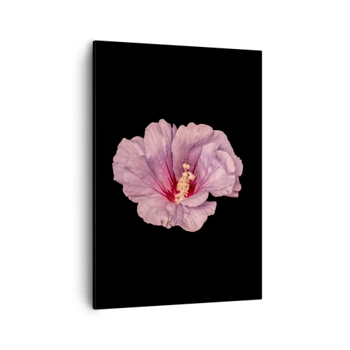 Obraz na płótnie - Różowy kwiat hibiskusa na czarnym tle - 50x70cm - Prosto do serca - Nowoczesna dekoracja ścienna do salonu, kuchni i sypialni ARTTOR