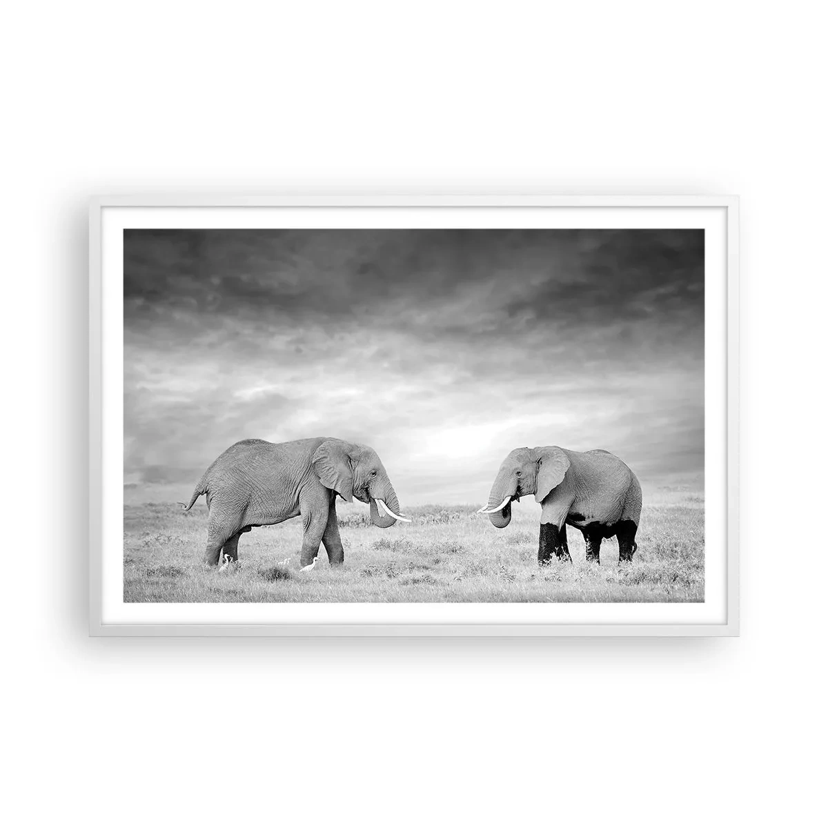 Plakat w białej ramie - Szare jest piękne - 91x61 cm