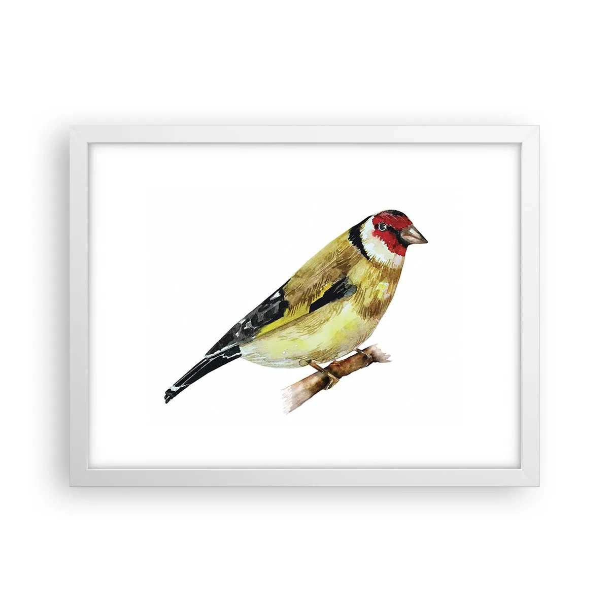 Plakat w białej ramie - Ptasi portret - 40x30 cm