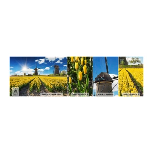 Fototapeta Próbka Standard Eco - Bardziej holenderski być nie może - Krajobraz, Wiatrak, Tulipany - 100x30 cm