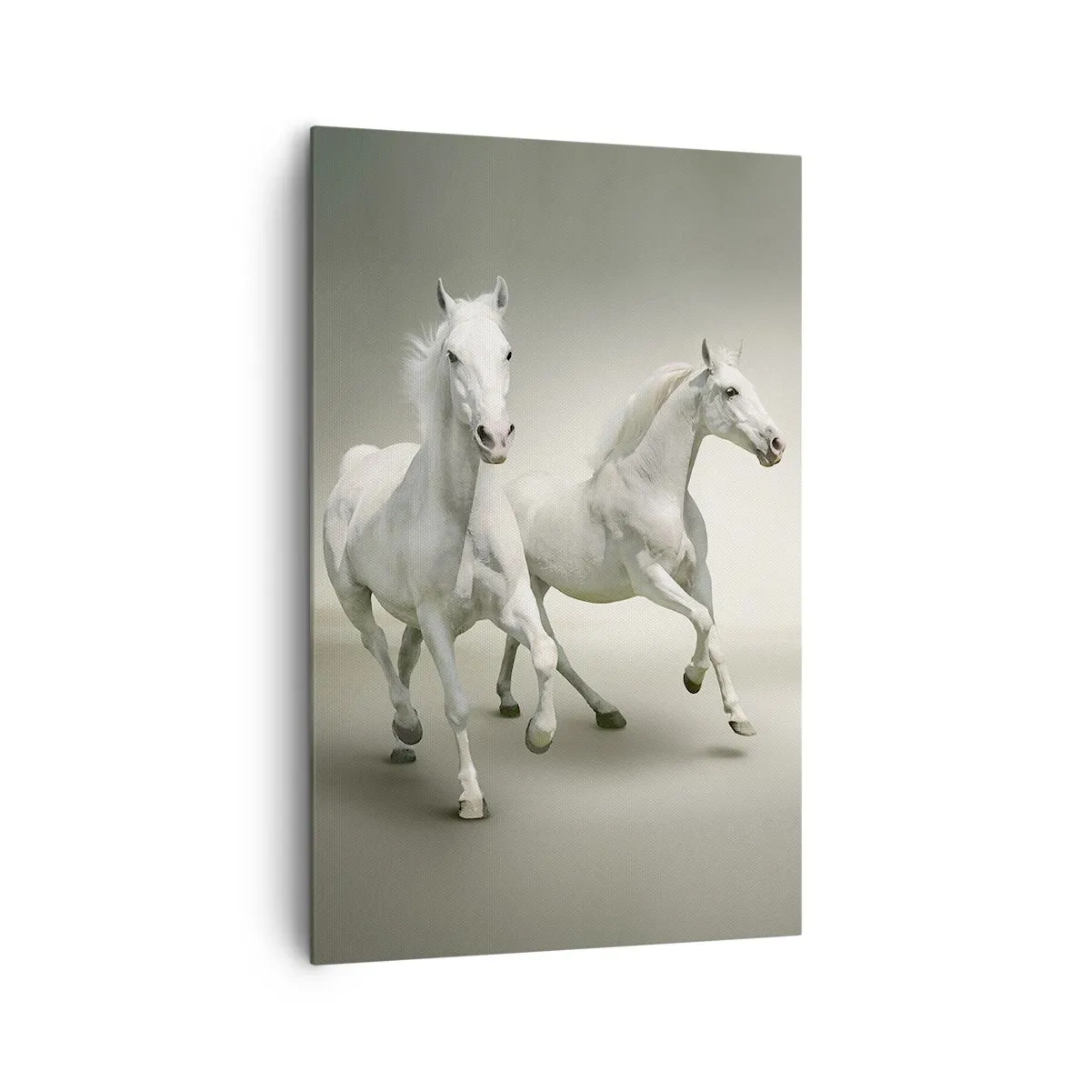 Obraz na płótnie - Dwa białe konie w galopie na jasnym tle - 80x120cm - White power! - Nowoczesna dekoracja ścienna do salonu i sypialni ARTTOR