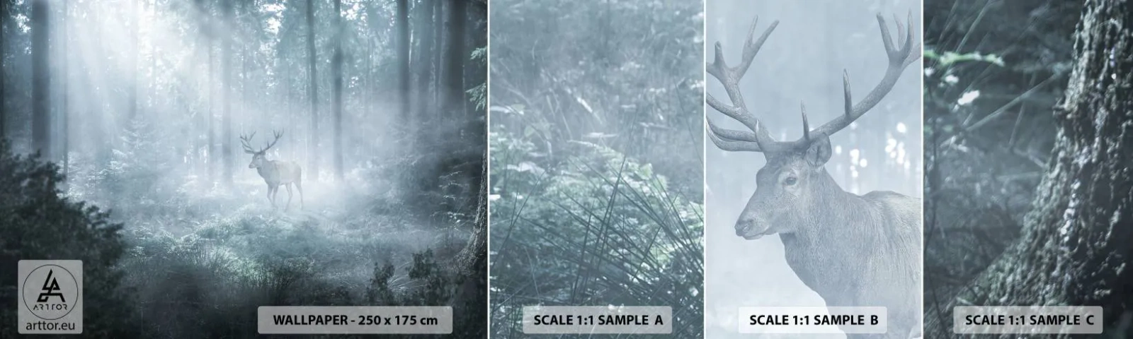 Fototapeta Próbka Standard Eco - Poranny obchód włości - Krajobraz, Las, Jeleń - 100x30 cm