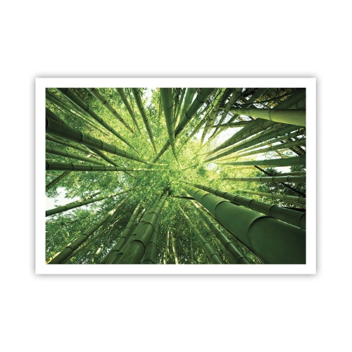 Plakat - Widok w górę przez zielony bambusowy gaj - 100x70cm - W bambusowym gaju - Nowoczesna dekoracja ścienna do salonu i sypialni ARTTOR