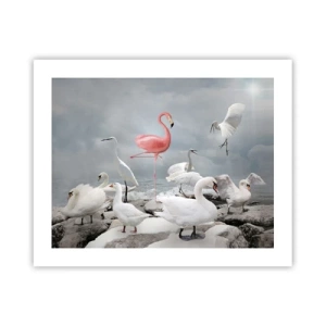 Plakat - Skąd się tu wziąłem? - 50x40 cm