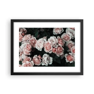 Plakat w czarnej ramie - Różany ansamble - 40x30 cm