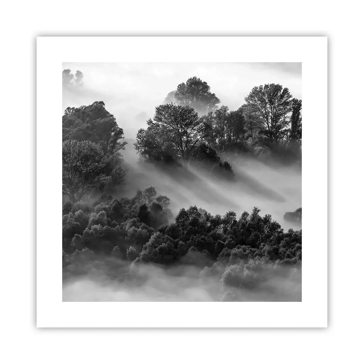 Plakat - Wstający ze snu - 40x40 cm