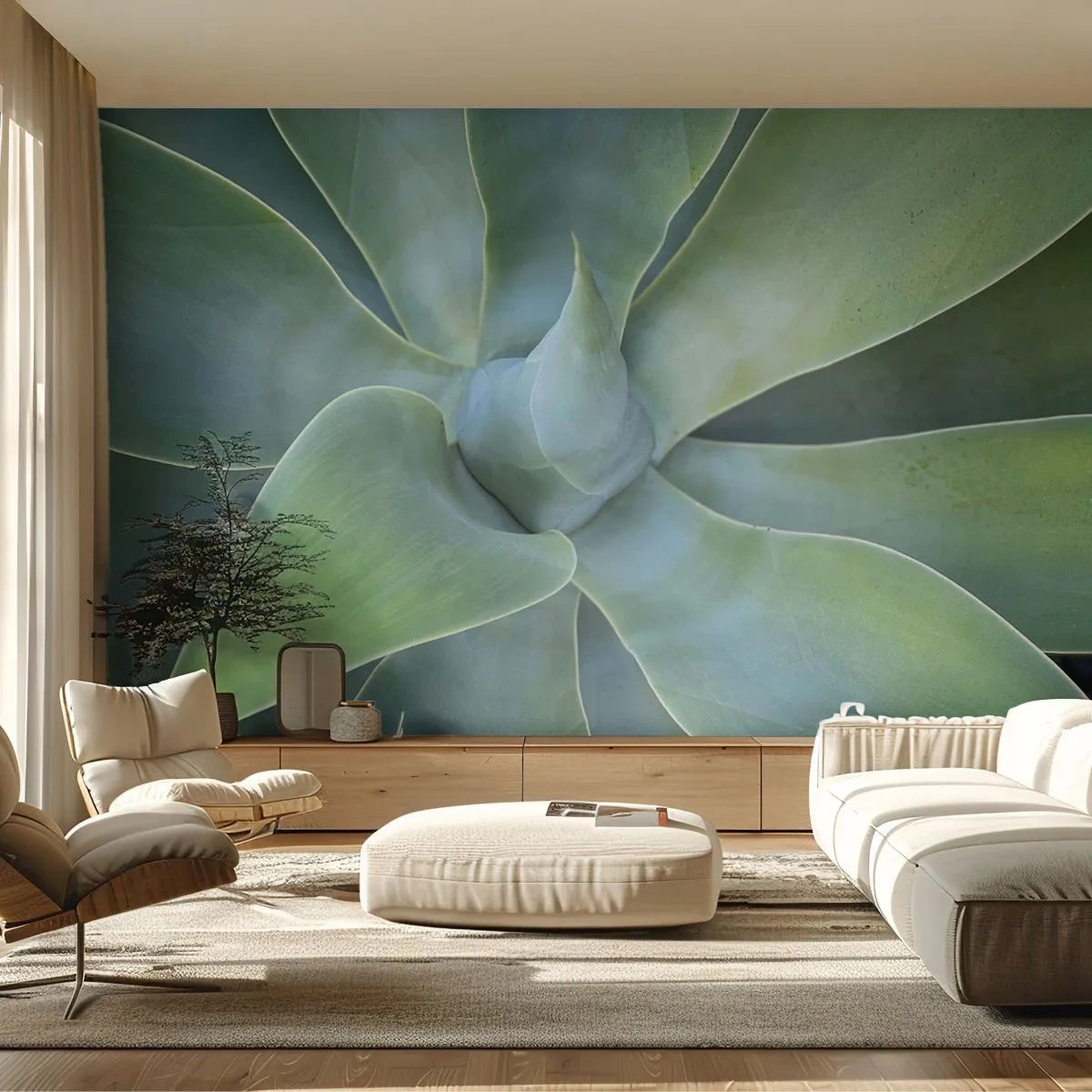 Fototapeta Premium Sand - Narodziny zieleni - Sukulent, Agawa, Botanika - 150x105 cm