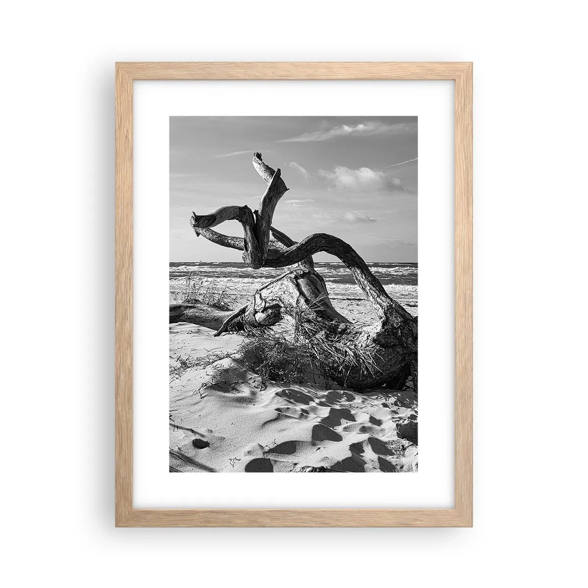 Plakat w ramie jasny dąb - Morska rzeźba - 30x40 cm
