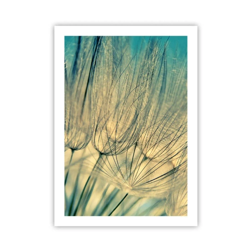 Plakat - Makrofotografia delikatnych dmuchawców w świetle zachodzącego słońca - 50x70cm - W oczekiwaniu na wiatr - Nowoczesna dekoracja ścienna do salonu, kuchni i sypialni ARTTOR