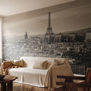 Fototapeta na wymiar Premium Sand - Nad dachami Paryża - Miasto, Paryż, Architektura