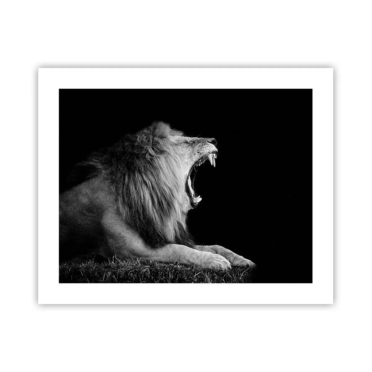 Plakat - Bez żadnych wątpliwości - 50x40 cm