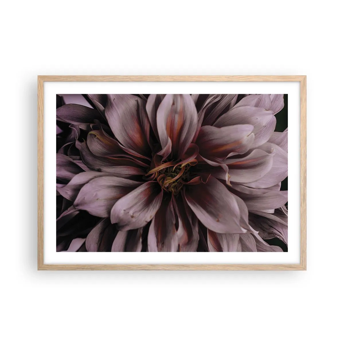 Plakat w ramie jasny dąb - Kwietne serce - 70x50 cm