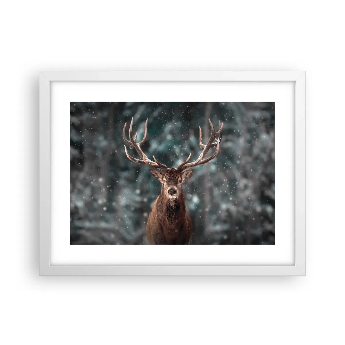 Plakat w białej ramie - Król lasu ukoronowany - 40x30 cm