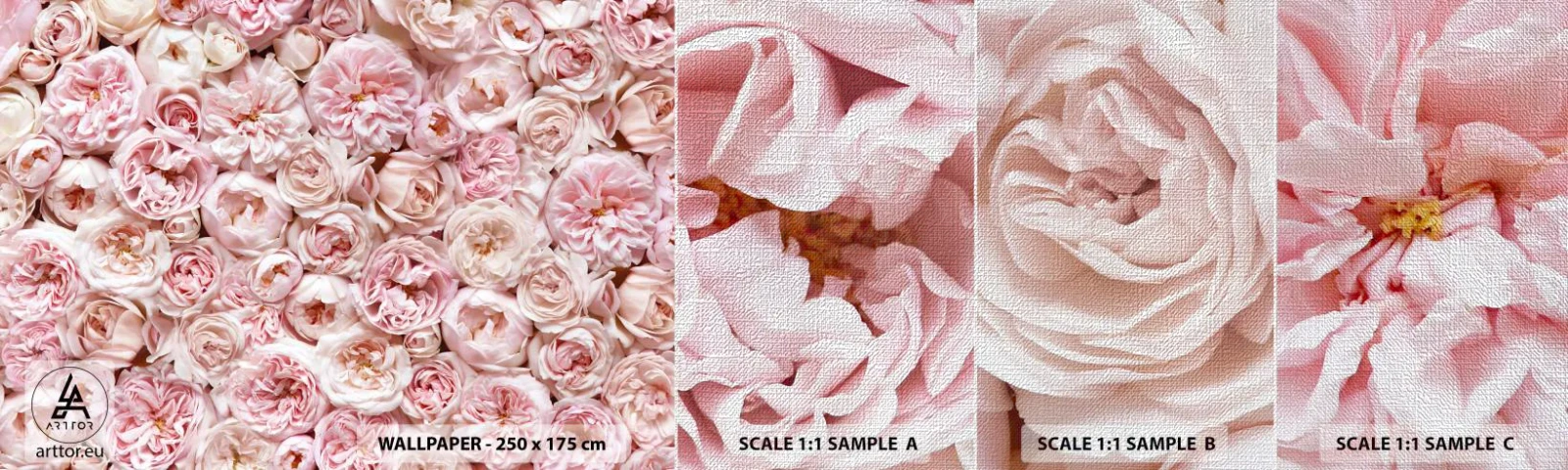 Fototapeta Próbka Premium Canvas - Usłane różami - Kwiaty, Pastelowe, Róże - 100x30 cm