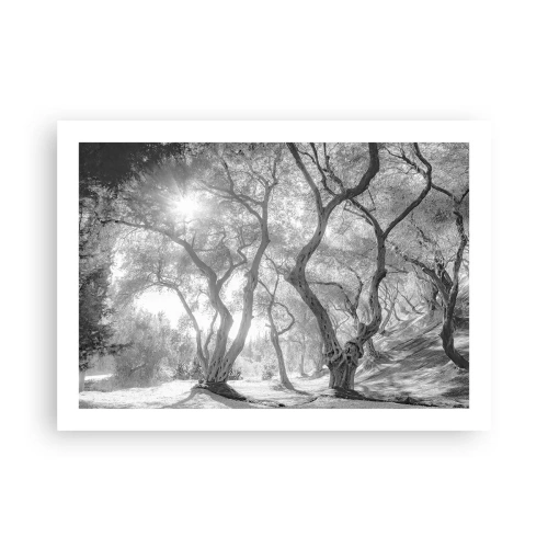 Plakat - W oliwnym gaju - 70x50 cm