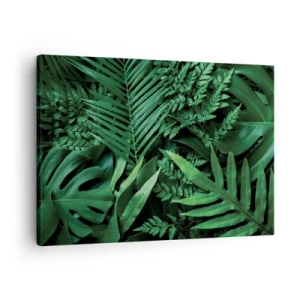 Obraz na płótnie - Zielone liście tropikalne w gęstej i naturalnej kompozycji - 70x50cm - Utulone w zieleni - Nowoczesna dekoracja ścienna do salonu i sypialni ARTTOR