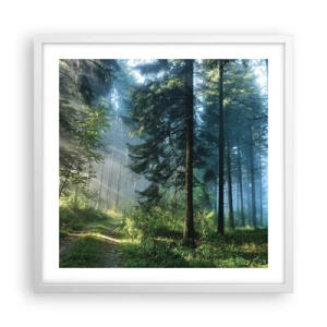 Plakat w białej ramie - Rozpromieniony o poranku - 50x50 cm