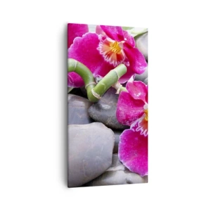 Obraz na płótnie - Chłód i żar - 55x100 cm