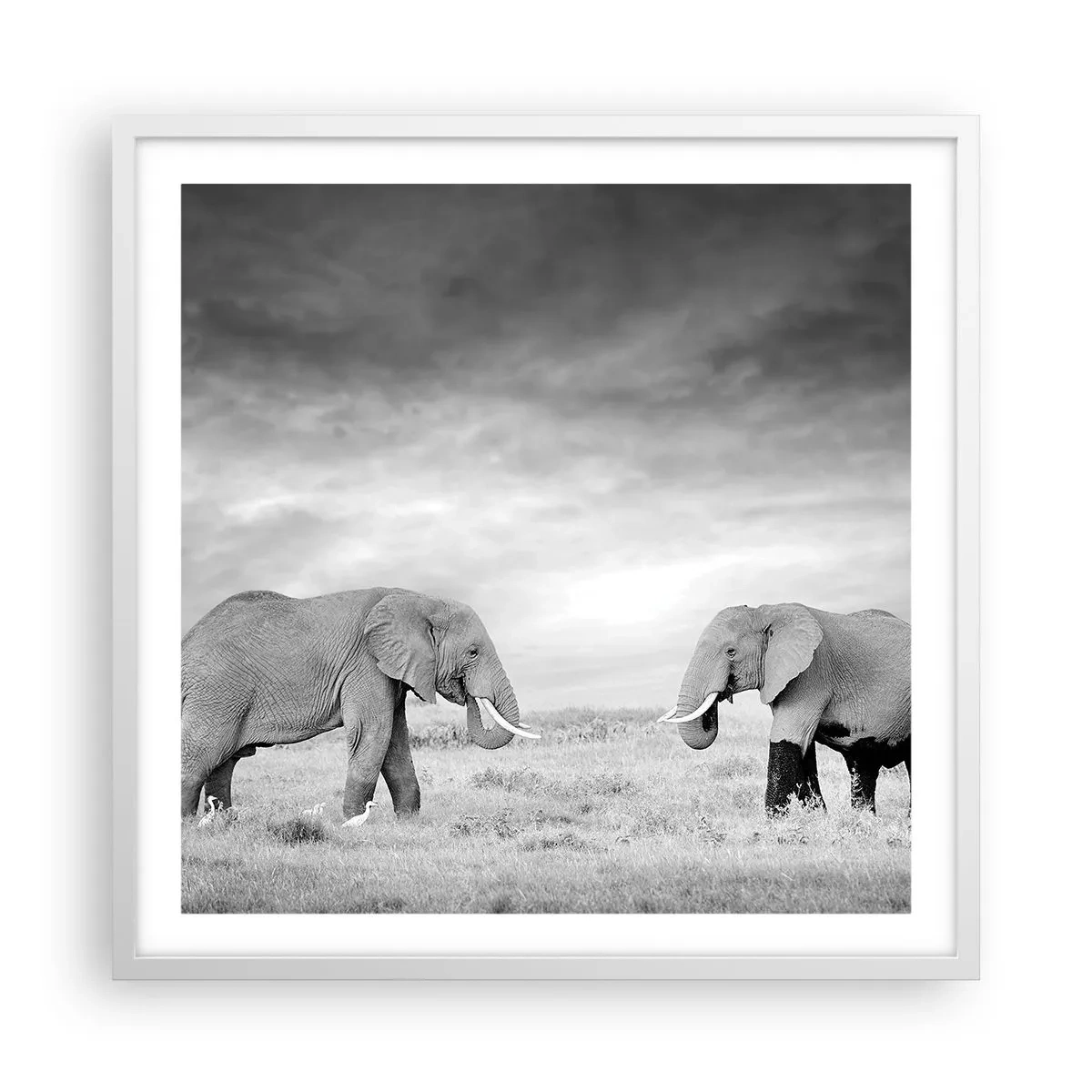 Plakat w białej ramie - Szare jest piękne - 60x60 cm