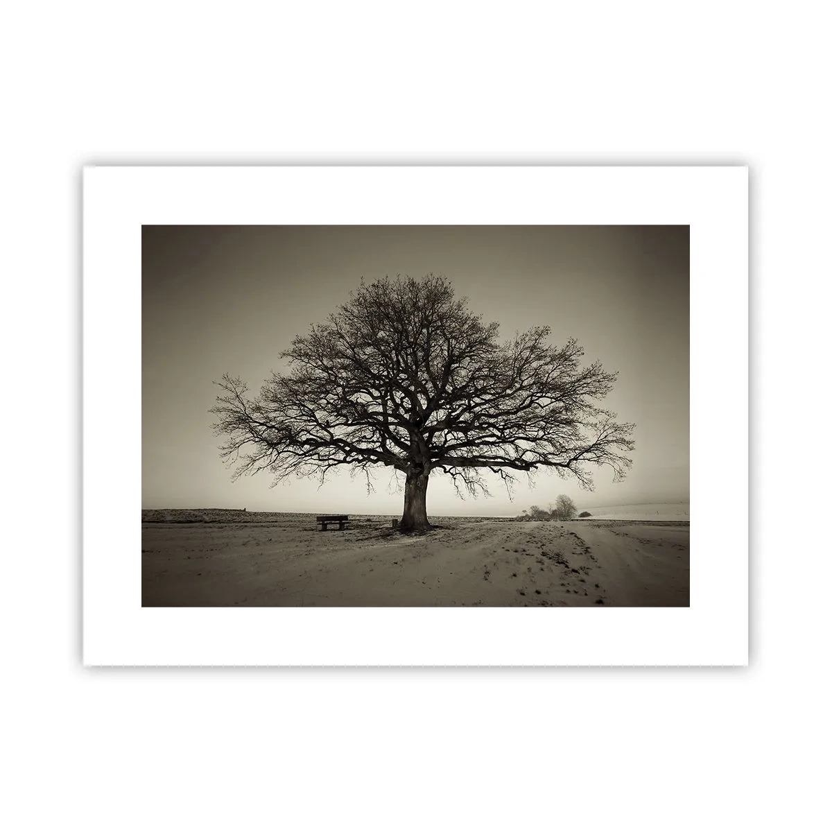 Plakat - Stąd do wieczności - 40x30 cm