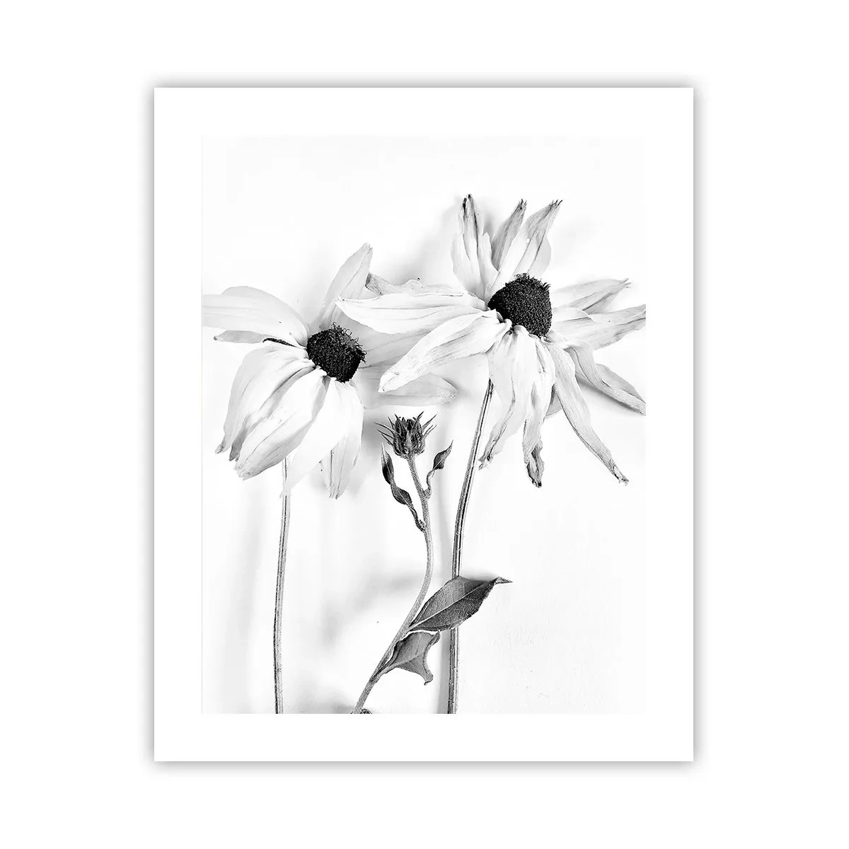 Plakat - Nikt nie chce być sam - 40x50 cm